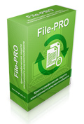 protect_file_pro